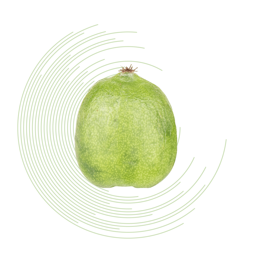 Calibratrice minikiwi