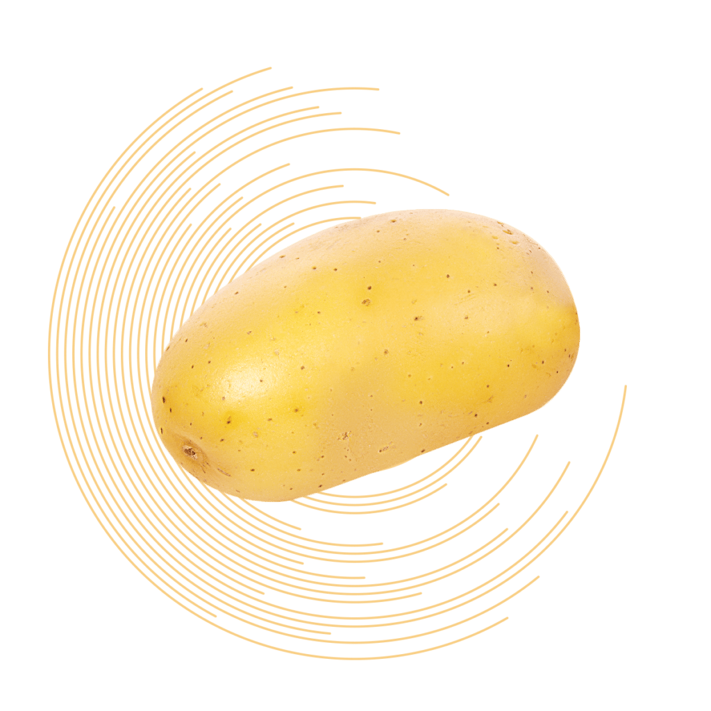 Calibratrice patate
