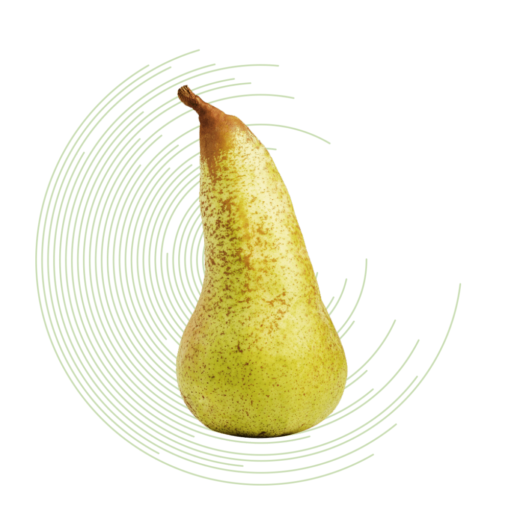 Calibratrice pere