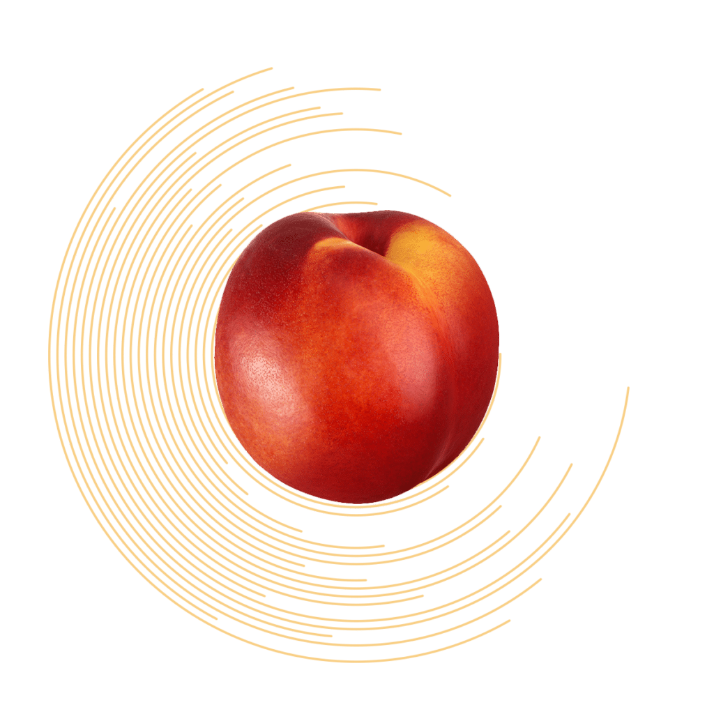 Calibratrice pesche