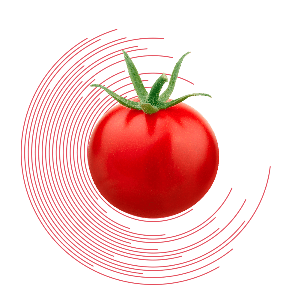 Calibratrice pomodori ciliegini