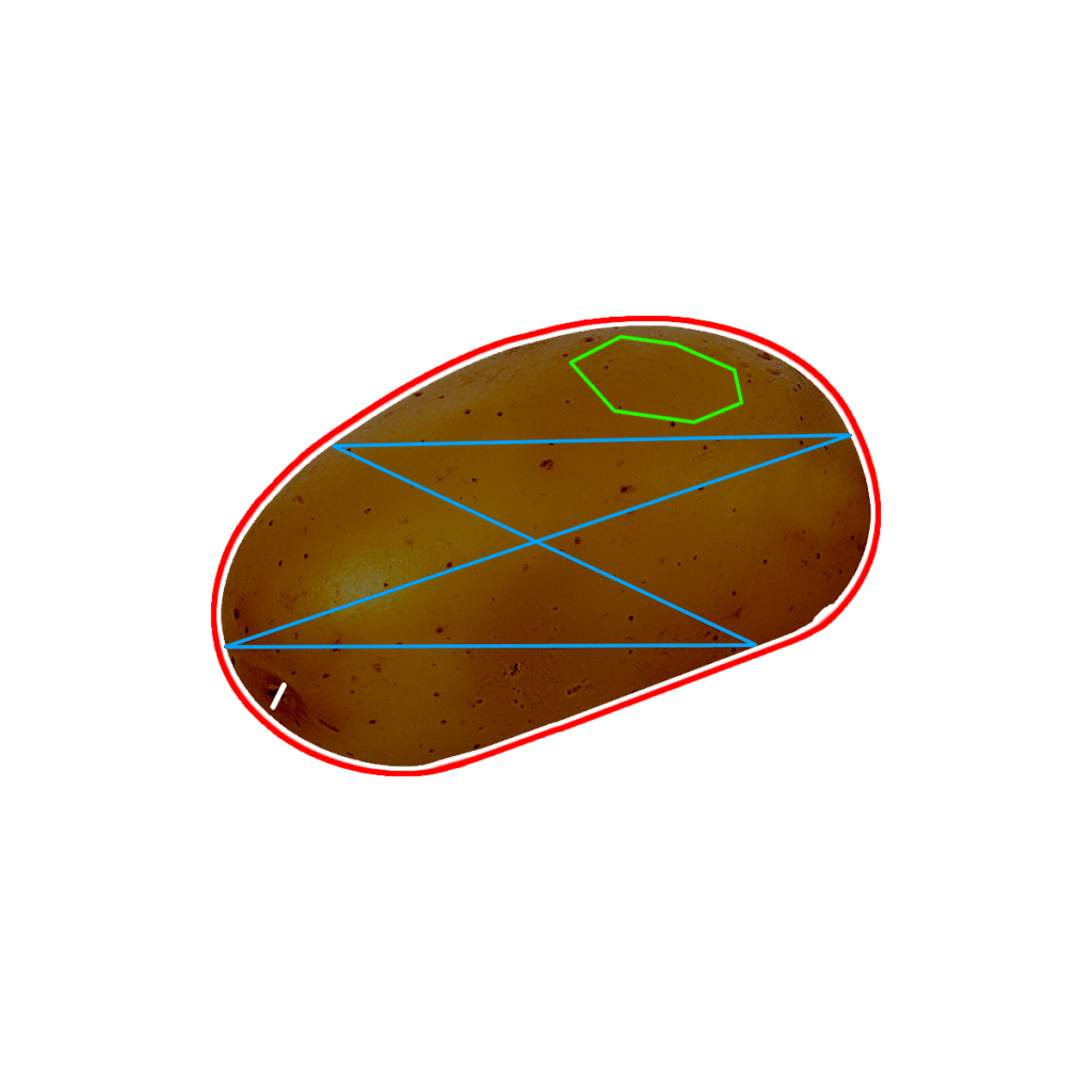 Intelligenza articificiale patate