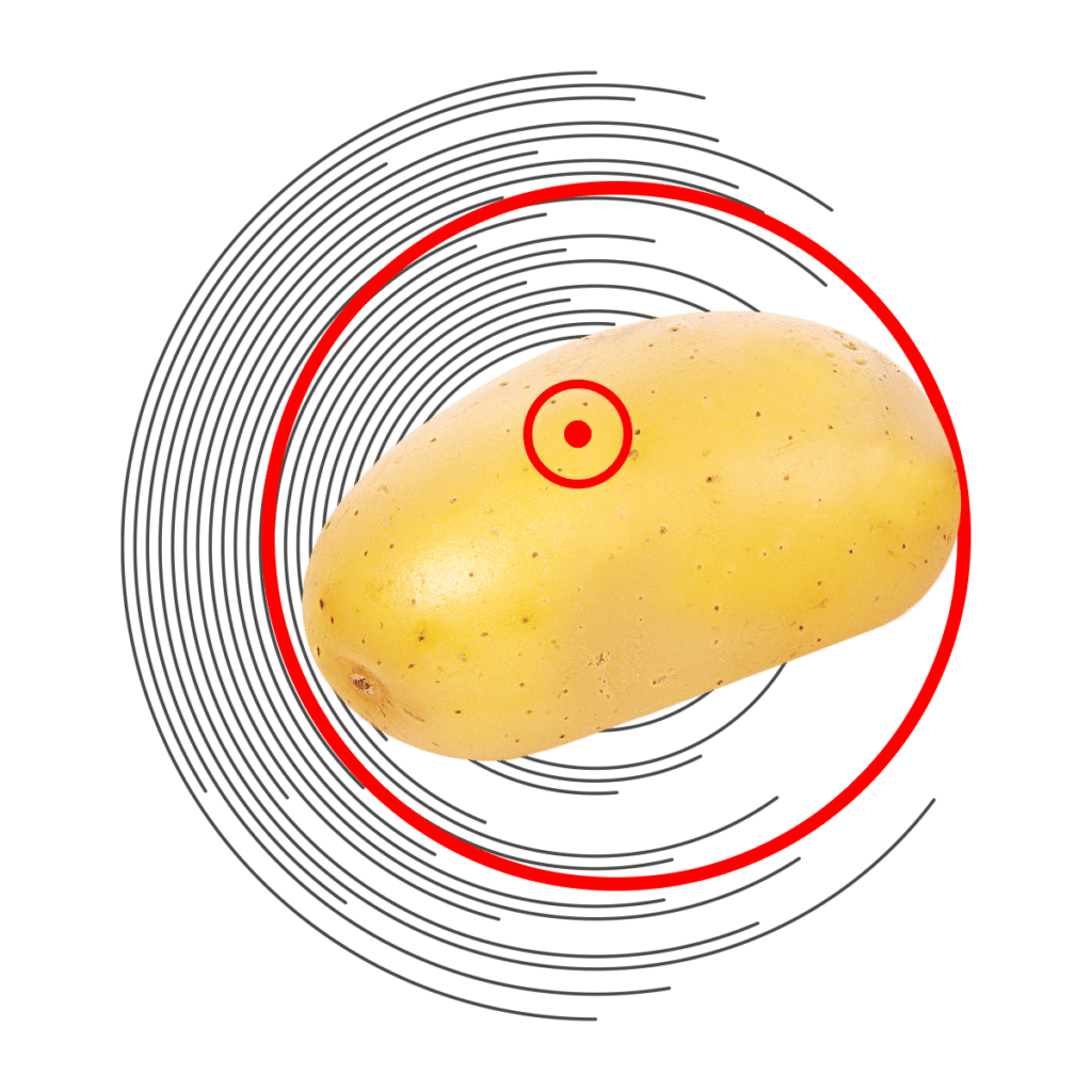 Patate senza difetti