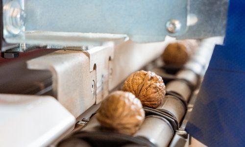 Calibratrice con intelligenza artificiale per analisi esterna e interna noci