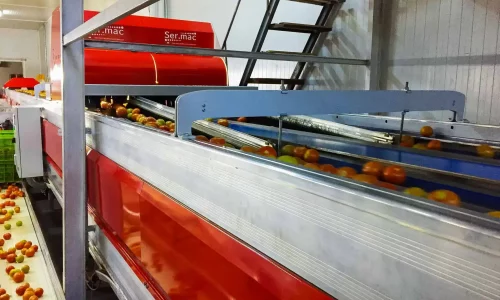 Calibratrice con intelligenza artificiale per analisi esterna e interna pomodori