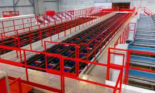 Impianto agricolo per kiwi