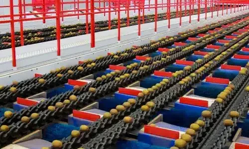 Calibratrice con intelligenza artificiale per analisi esterna e interna kiwi