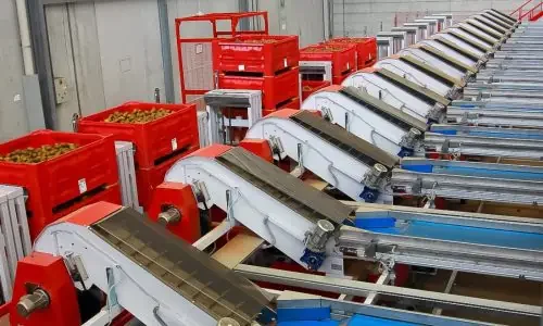 Impianto agricolo per kiwi