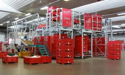 Impianto agricolo per kiwi