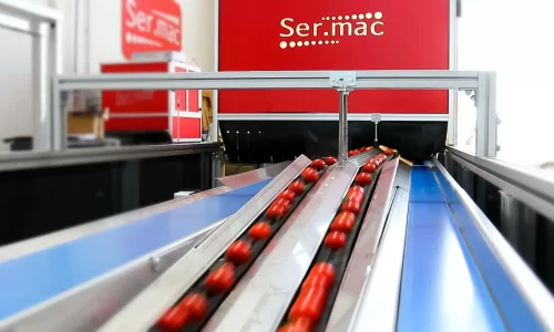 Calibratrice con intelligenza artificiale per analisi esterna e interna pomodorino ciliegino