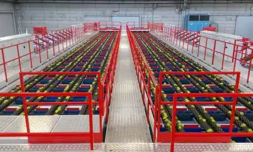 Calibratrice con intelligenza artificiale per analisi esterna e interna pere